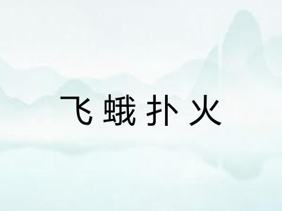 飞蛾扑火 飞蛾扑火