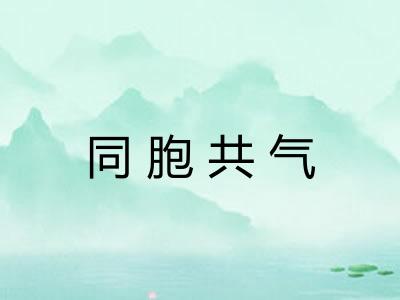 同胞共气