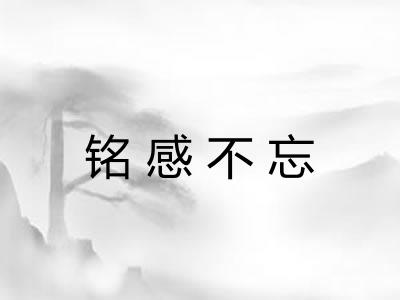 铭感不忘 铭感不忘