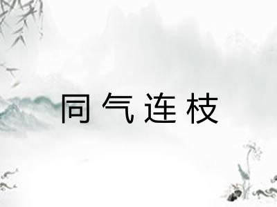 同气连枝 同气连枝