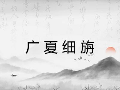 广夏细旃