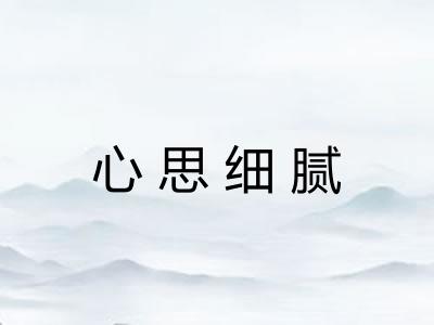 心思细腻 心思细腻