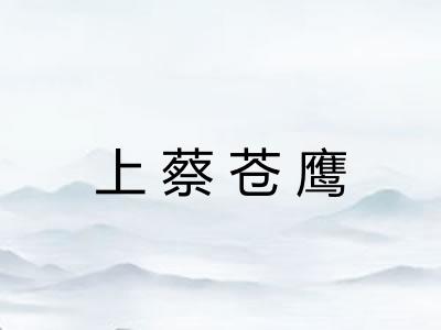 上蔡苍鹰 上蔡苍鹰