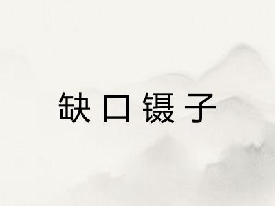 缺口镊子 缺口镊子