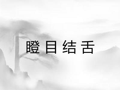 瞪目结舌 瞪目结舌