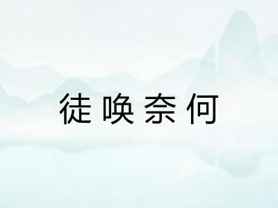 徒唤奈何 徒唤奈何