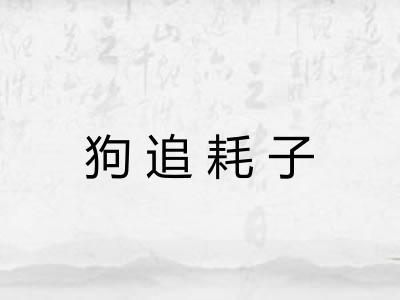 狗追耗子 狗追耗子