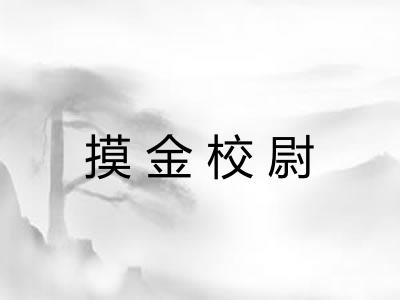 摸金校尉 摸金校尉