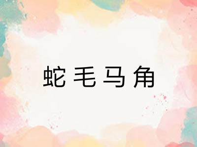 蛇毛马角