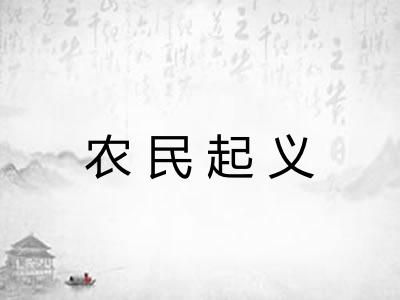 农民起义 农民起义