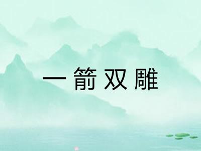 一箭双雕
