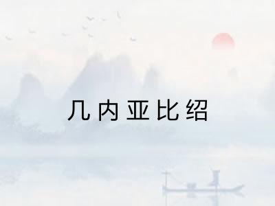 几内亚比绍 几内亚比绍