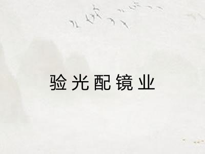 验光配镜业 验光配镜业