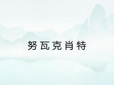 努瓦克肖特 努瓦克肖特