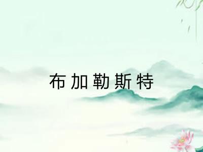 布加勒斯特 布加勒斯特