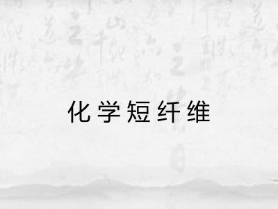 化学短纤维 化学短纤维