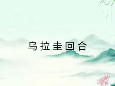 乌拉圭回合 乌拉圭回合