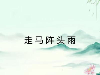 走马阵头雨