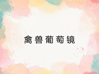 禽兽葡萄镜 禽兽葡萄镜