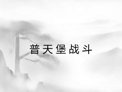 普天堡战斗 普天堡战斗