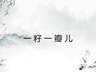 一籽一瓣儿 一籽一瓣儿