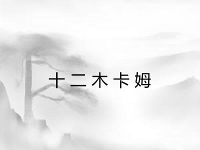 十二木卡姆
