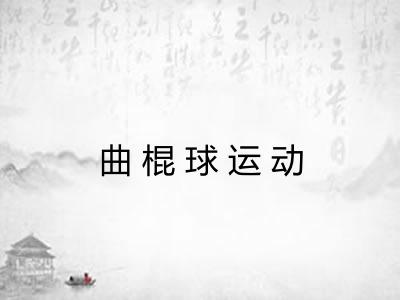 曲棍球运动 曲棍球运动