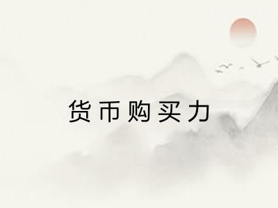货币购买力 货币购买力