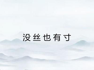 没丝也有寸 没丝也有寸
