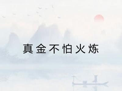 真金不怕火炼 真金不怕火炼