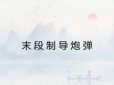 末段制导炮弹 末段制导炮弹