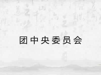 团中央委员会