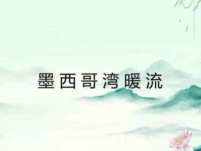 墨西哥湾暖流 墨西哥湾暖流