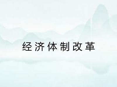 经济体制改革 经济体制改革