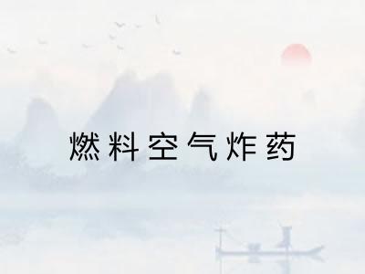 燃料空气炸药 燃料空气炸药