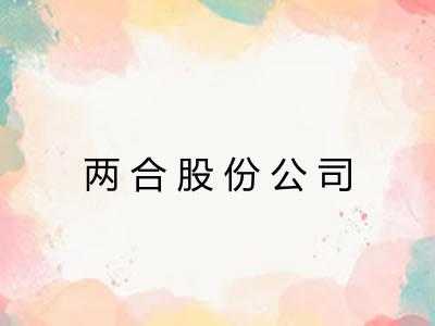 两合股份公司