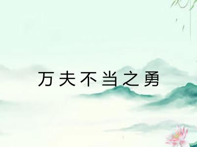 万夫不当之勇