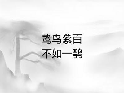 鸷鸟絫百不如一鹗