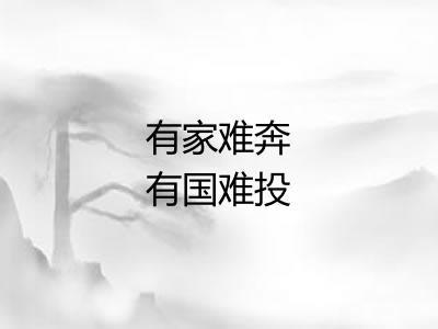 有家难奔有国难投