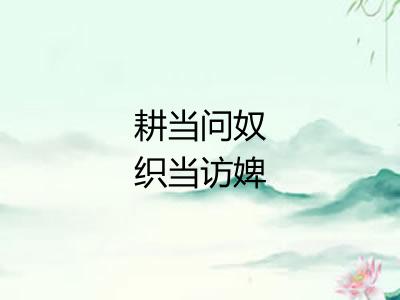 耕当问奴织当访婢
